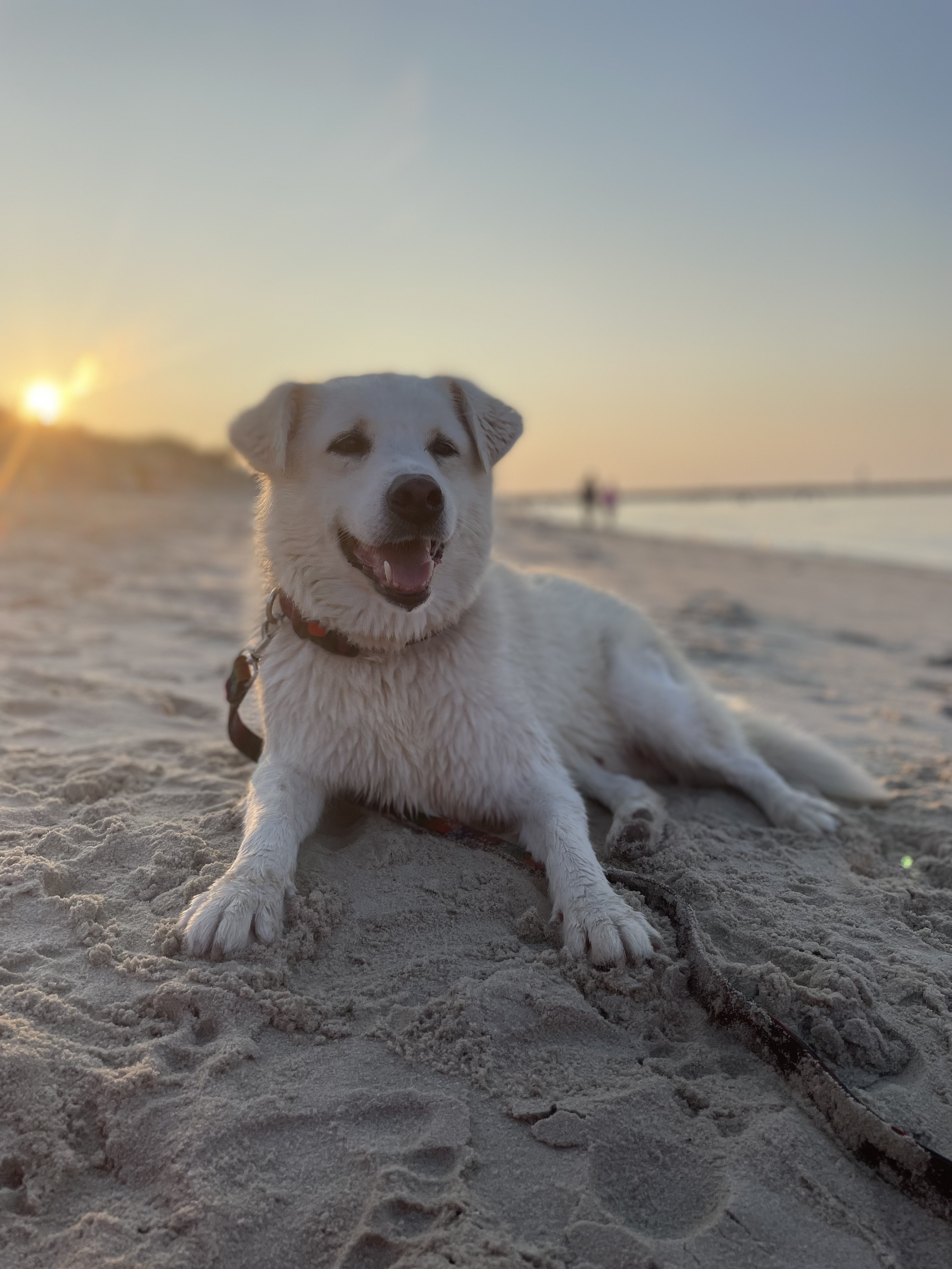 Brian on the beach