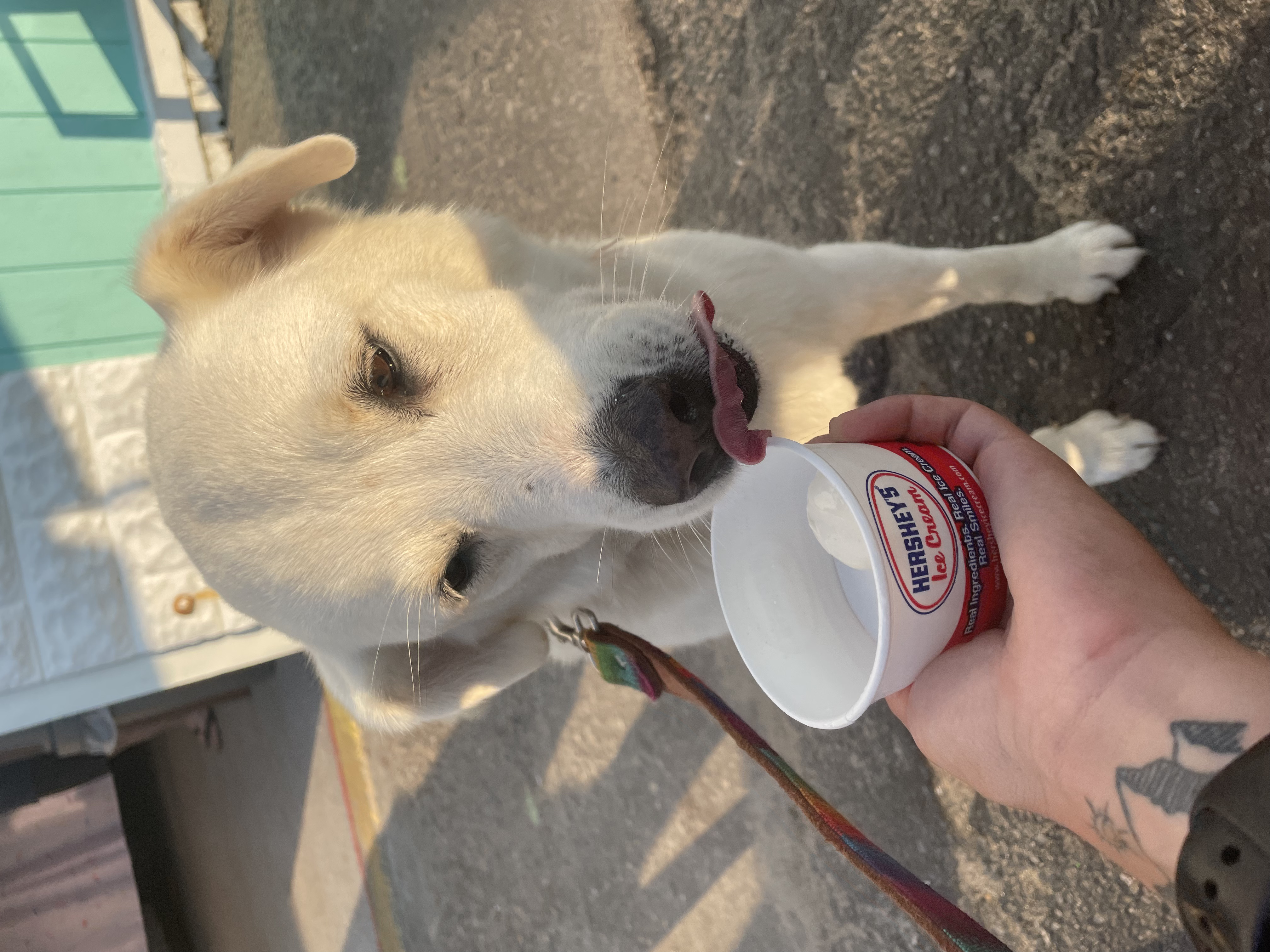 Brian eating icecream